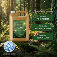Esența Pădurii Intense - 5L