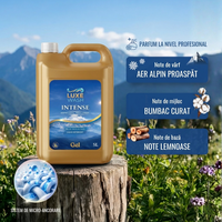 Prospețimea Aerului Intense - 5L