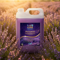Mireasma Lavandei Intense - 5L