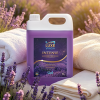 Mireasma Lavandei Intense - 5L